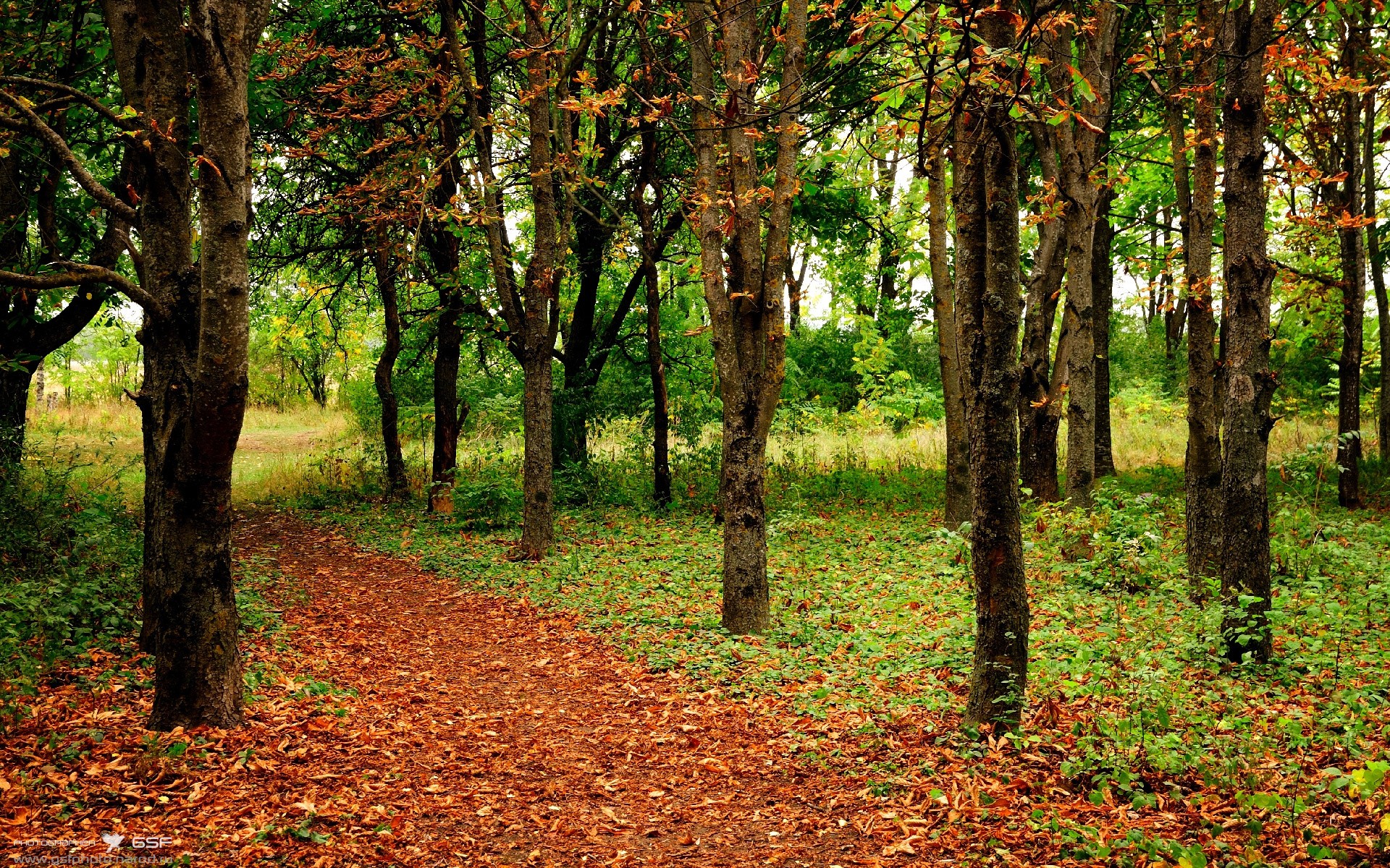 青训体系普及足球基础知识课程形成完整学习闭环，足球青训分几个阶段